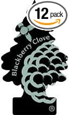 LITTLE TREES Car Air Freshener | Hanging Paper Tree for Home or Car | Blackberry Clove | 12 Pack