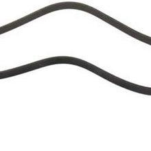 Mitsuboshi 6PK1255 Serpentine Belt