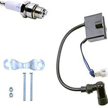 FLYPIG CDI Ignition Coil + Magneto Coil + Spark Plug for 49cc 50cc 60cc 80cc 2-Stroke Engines Motor Motorized Bicycle Bike