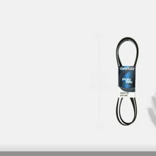 Dayco 5060745 Serpentine Belt