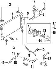 Radiator Hose Seal