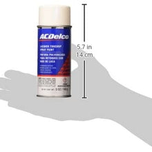 ACDelco 19354940 Black (WA8555) Touch-Up Paint - 5 oz Spray