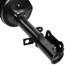 Rear Struts & Springs Left & Right Pair Set for 93-02 Toyota Corolla Chevy Prizm