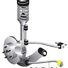 Whiteline W81193 Front Radius/Strut Rod to Chassis Bushing