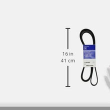 ACDelco 12576453 Professional V-Ribbed Serpentine Belt