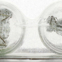 Philips Longerlife Miniature 7443Ll, Clear, Push Type, Always Change In Pairs!