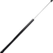 FEIPARTS Struts Gas Spring Fit for 2013-2016 Toyota Avalon 2012-2016 Toyota Camry Front Hood Lift Supports
