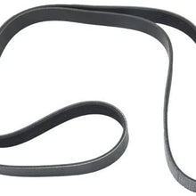 Drive Belt Compatible with Toyota RAV-4 06-12 / Toyota Camry 12-16 61.02 Effective L 0.96 in. Top W 7 ribs