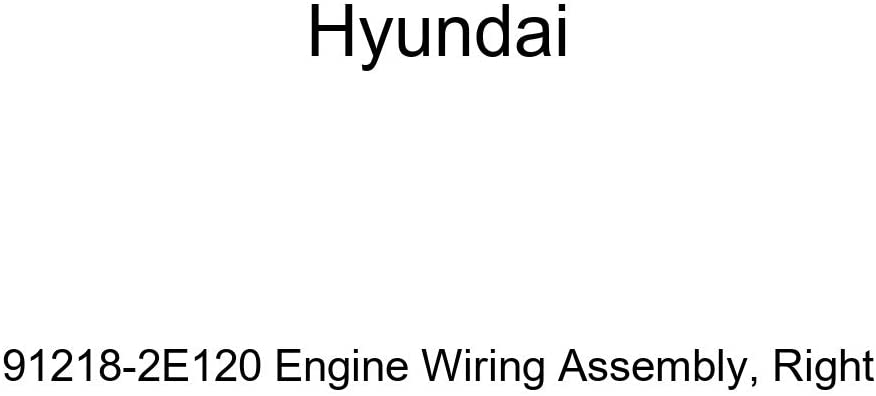 Genuine Hyundai 91218-2E120 Engine Wiring Assembly, Right