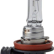 Philips H11 Standard Halogen Replacement Headlight Bulb, 2 Pack