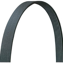 Dayco 6PVK1880 Serpentine Belt
