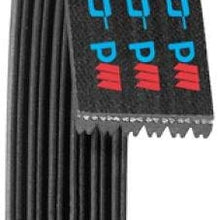 Dayco Poly Rib V-RIBBED BELT (A060398)