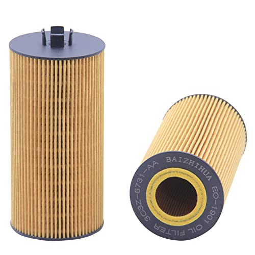 BAIZHIHUA EO-1901 Oil Filter Replaces FL2016 3C3Z-6731-AA P550528 57312 P7235 P7436 LF16166 CH9549 3C3Z6731AB Compatible with Ford F250 F350 F450 F550 Super Duty 6.0L 2003-2007 Excursion 2003-2005