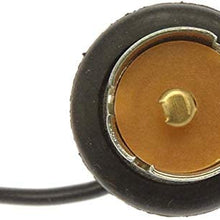 Dorman 84719 1-Wire Taillight Lighting Socket