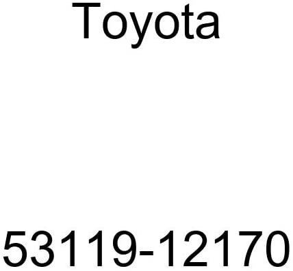 Toyota 53119-12170 Grille Guard