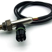 O2 Oxygen Sensor Fit For BMW E36 M52 11781427884 DOX-1368 4 Wire Lambda WEIDA AUTO PARTS (11781427884, The picture color)