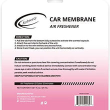 Airbreezy Car Air Freshener(Honey Peach Scents), 6 Car Freshener Vent Clips, 4ml Each, Long-Lasting Car Fragrance, Up to 180 Days