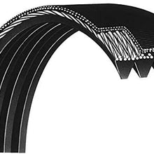 ban.do 7PK1700 OEM Quality Serpentine Belt
