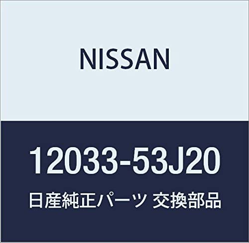 Nissan 12033-53J20, Engine Piston Ring