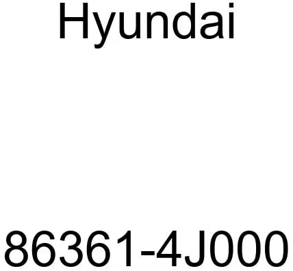 Genuine Hyundai (86361-4J000) Radiator Grille Guard