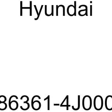 Genuine Hyundai (86361-4J000) Radiator Grille Guard