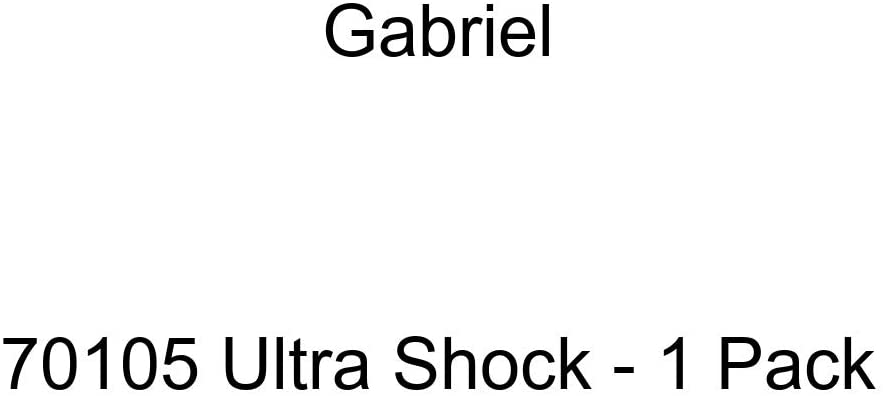 Gabriel 70105 Shock Absorber