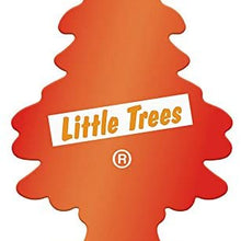 LITTLE TREES Car Air Freshener | Hanging Paper Tree for Home or Car | Spice Market | Pack of 1