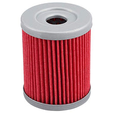 Tvent HF132 132 Oil Filter Replacement for Suzuki DRZ125 125 LT160 AN400 RV200 LTF250 Kawasaki KH125 KLX125 Yamaha YP400 CP250 (2 Pack)