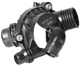 BSG 15-125-006 Thermostat
