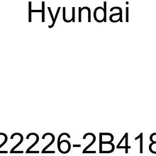 Genuine Hyundai 22226-2B418 Tappet