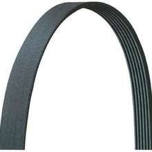 Dayco Drive Rite 5040353DR Serpentine Belt