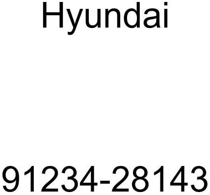 Genuine Hyundai 91234-28143 Engine Wiring Assembly