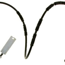 Raybestos EWS141 Professional Grade Electronic Disc Brake Pad Wear Sensor