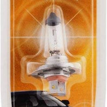 Philips H7 Standard Halogen Headlight Bulb (Pack of 1)