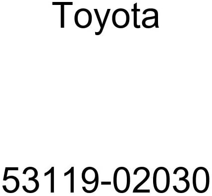 Toyota 53119-02030 Grille Guard