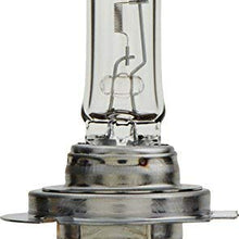 Philips H7 Standard Halogen Replacement Headlight Bulb, 2 Pack