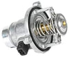 BSG 15-125-005 Thermostat