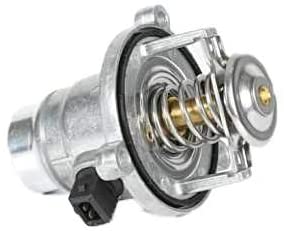 BSG 15-125-005 Thermostat