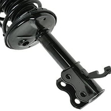 Front Shock Strut & Spring Pair Set Kit Driver & Passenger for Prizm