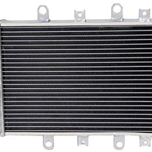 ALLOYWORKS 2 Row-40MM Core All Aluminum Radiator For 2012-2014 YAMAHA GRIZZLY 550 700 YFM550 YFM700