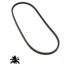 CONTITECH Belt - Alternator - 10 X 970 0039976892