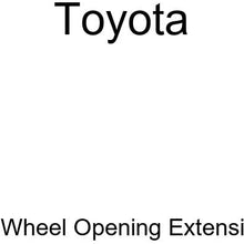 TOYOTA 53851-06040 Wheel Opening Extension Pad, Right