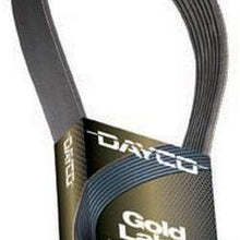 Dayco 5081369 Serpentine Belt