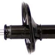 AutoDN REAR RIGHT SHOCK and STRUT Compatible With 1993-2002 TOYOTCOROLLBasCDX LPRIZM