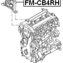 Right Engine Mount (Hydro) Febest FM-CB4RH Oem 1430066