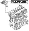 Right Engine Mount (Hydro) Febest FM-CB4RH Oem 1430066