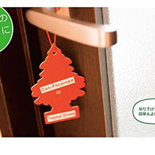 LITTLE TREES Car Air Freshener | Hanging Paper Tree for Home or Car | Summer Linen | 6 Pack