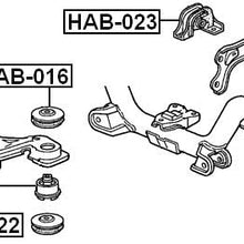 50711Scwa01 - Arm Bushing (for Rear Differential Mount) For Honda - Febest