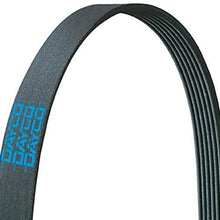 Dayco 5081369 Serpentine Belt