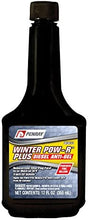 Winter Pow-R Plus 202012 Plus Diesel Fuel Treatment - 12-Ounce Bottle